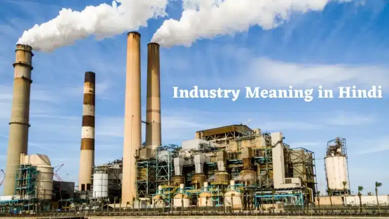 Industry Meaning in Hindi