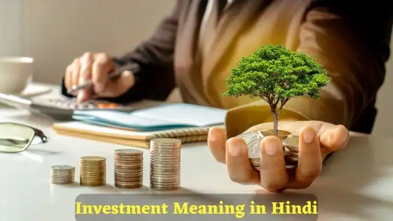 Investment Meaning in Hindi